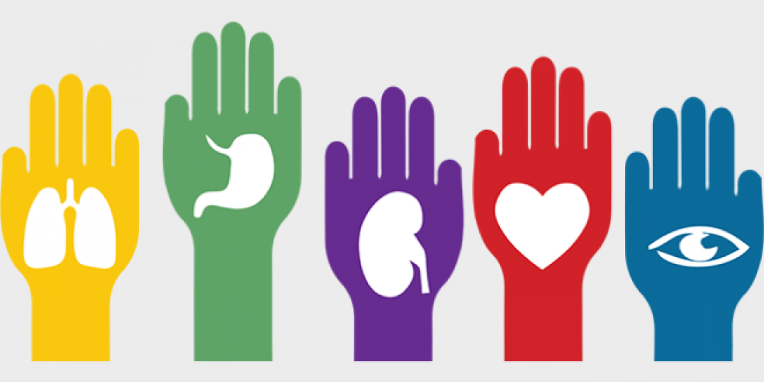 ¡¡Gracias Donantes!! Un trasplantado.