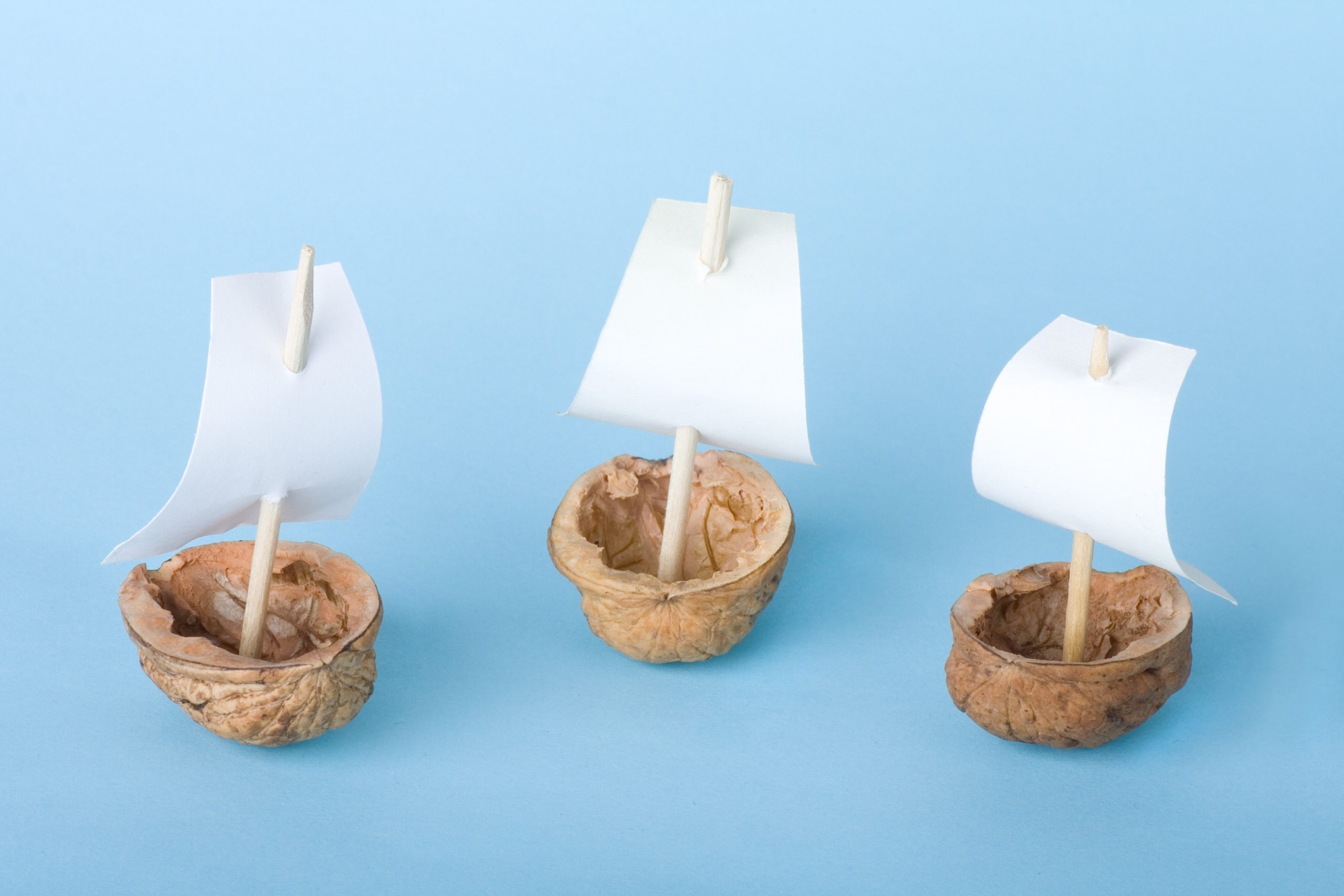 Parar, templar y mandar. Un trasplantado.