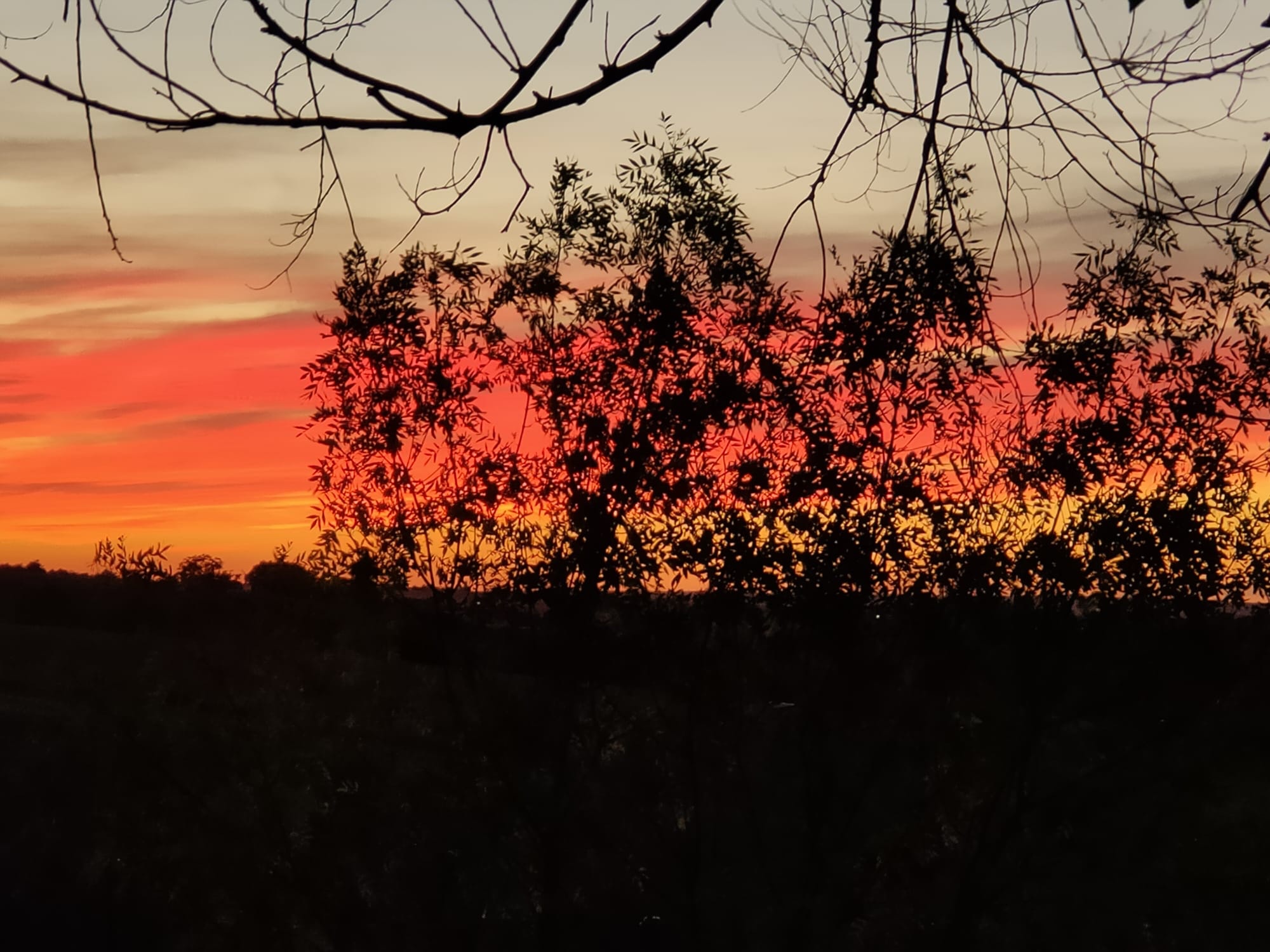 Mis amigos. Un trasplantado.