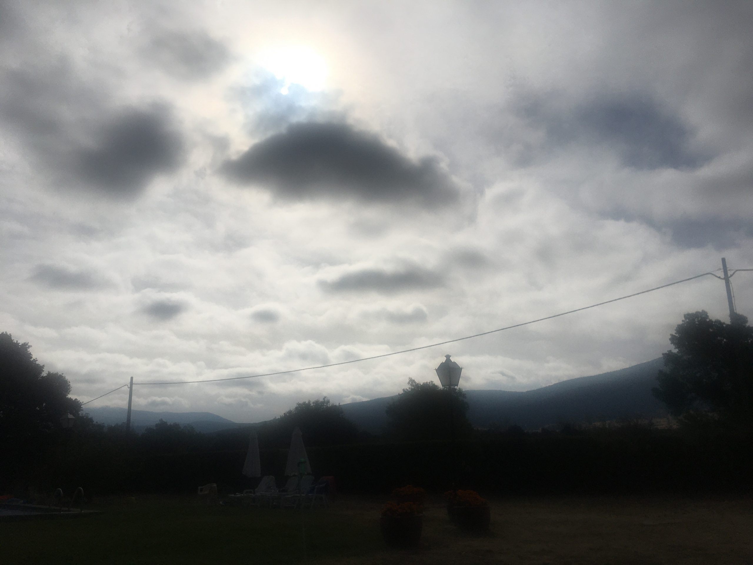 Mañanita de niebla, tarde de paseo. Un trasplantado.