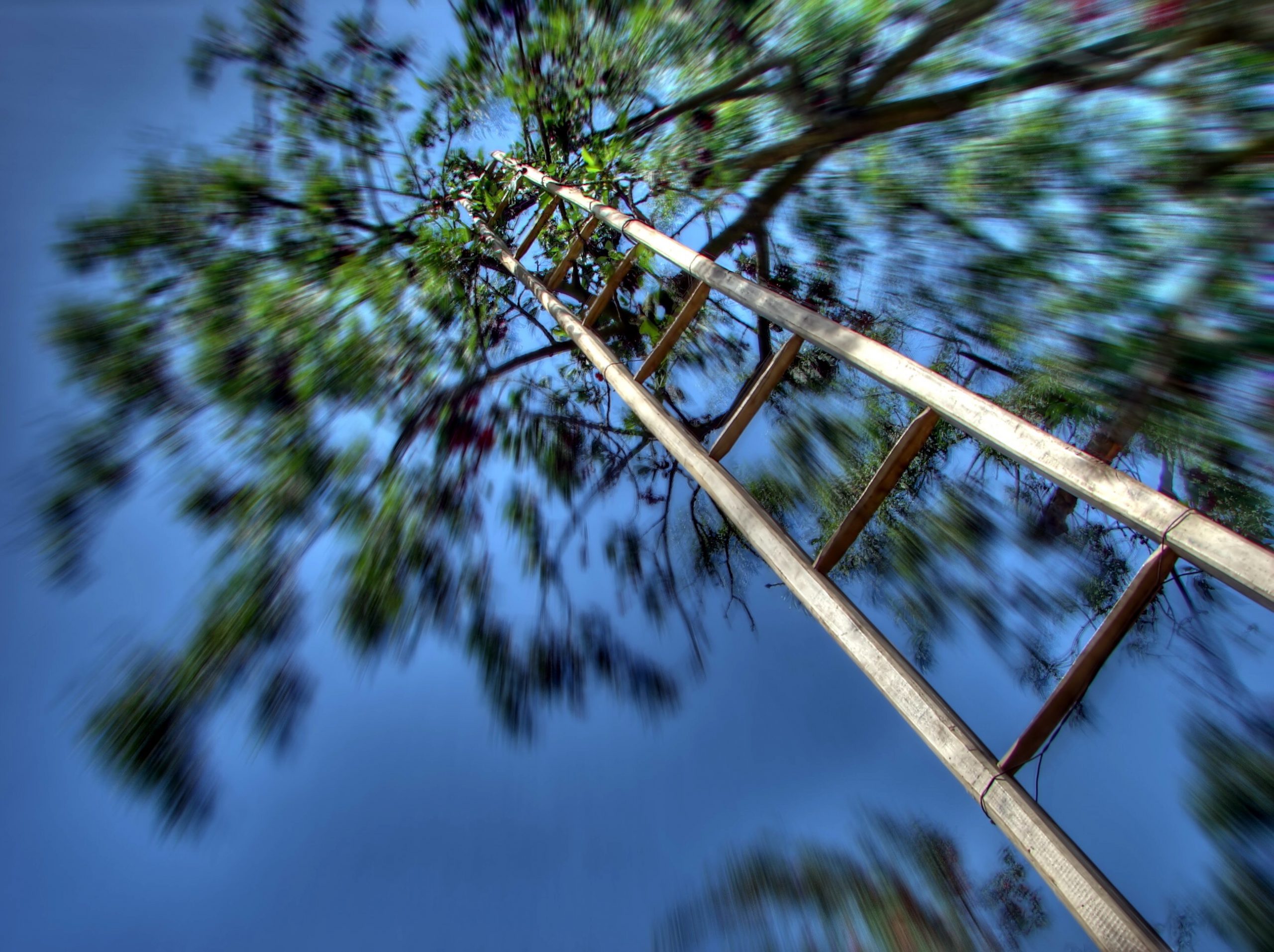Vértigo. Un trasplantado.
