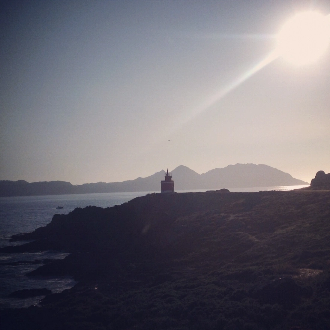 El faro. Un trasplantado.