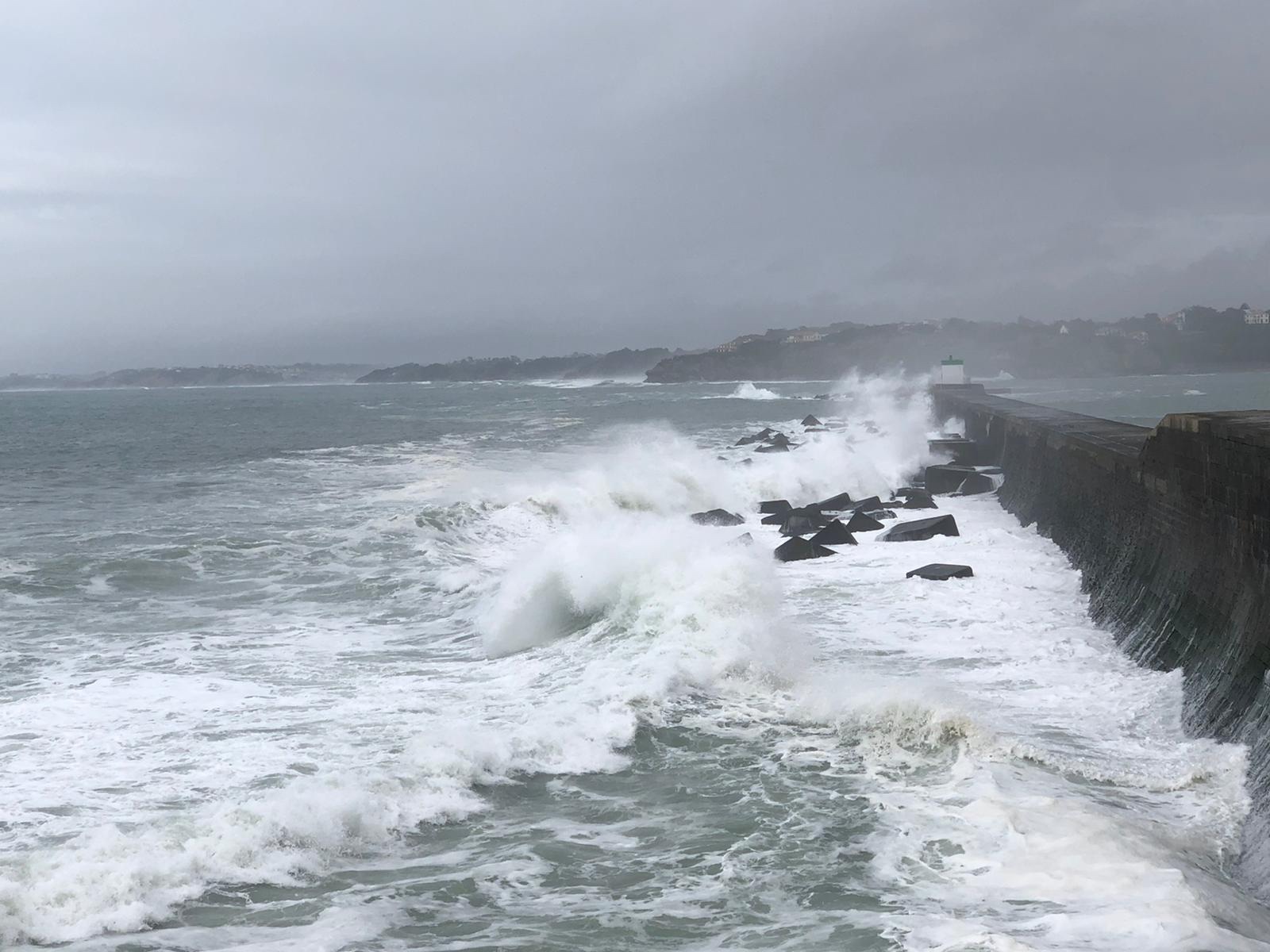 Alta mar. Un trasplantado.