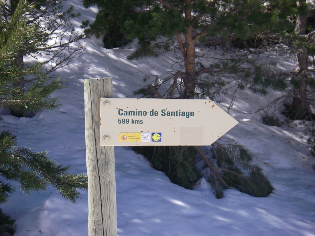 Ultreia. Un trasplantado.