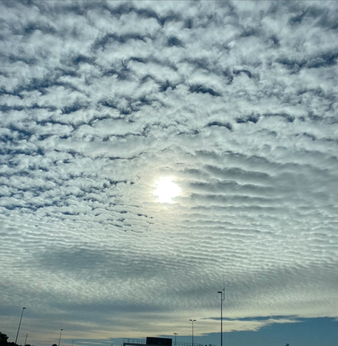 Mirando al cielo. Un trasplantado.