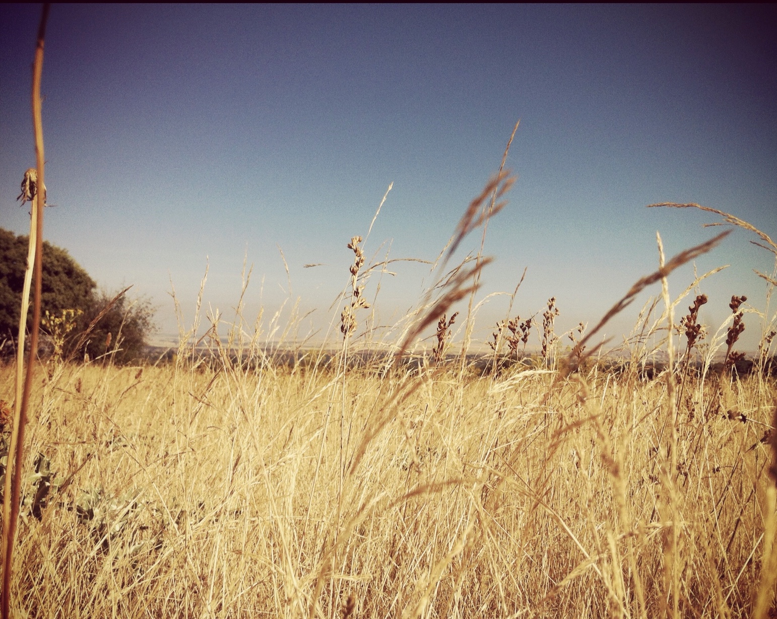 El sentido de la vida. Un trasplantado.