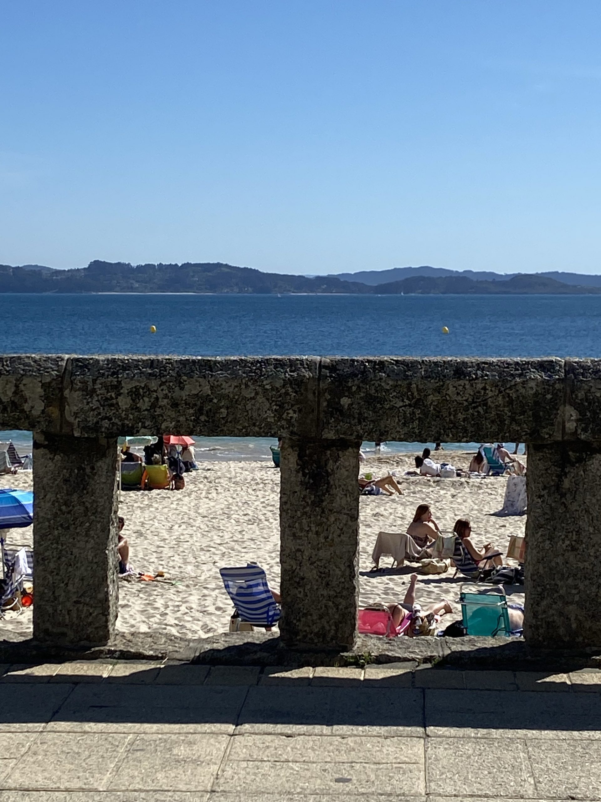 Reflexión de un día cualquiera. Un trasplantado.