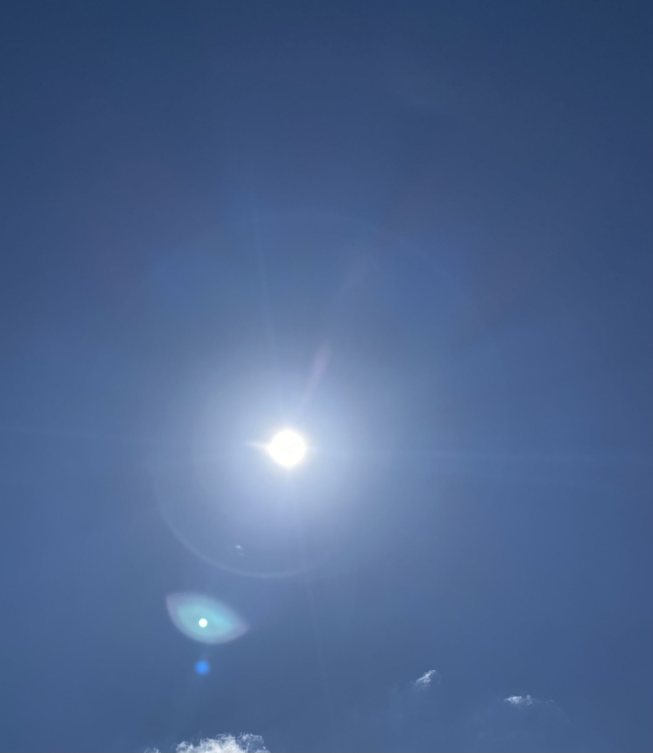 La perspectiva. Un trasplantado.