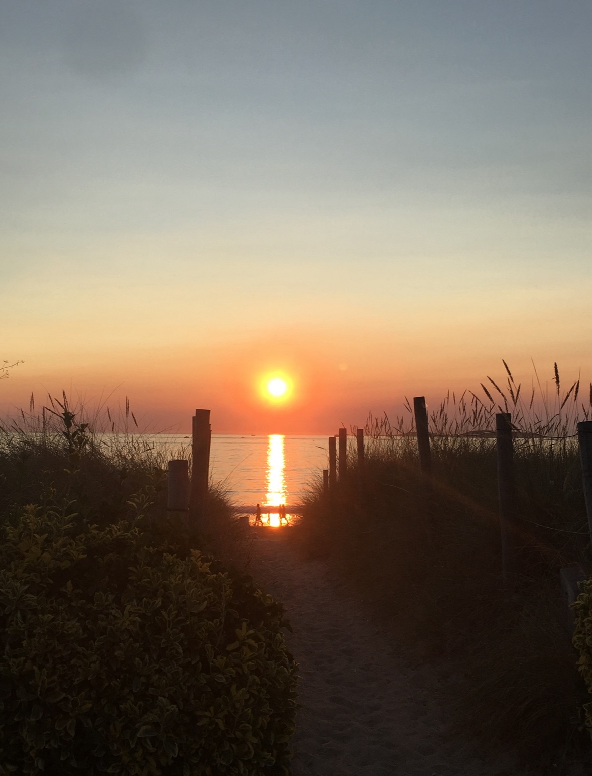 Propósitos de 2024. Un trasplantado.