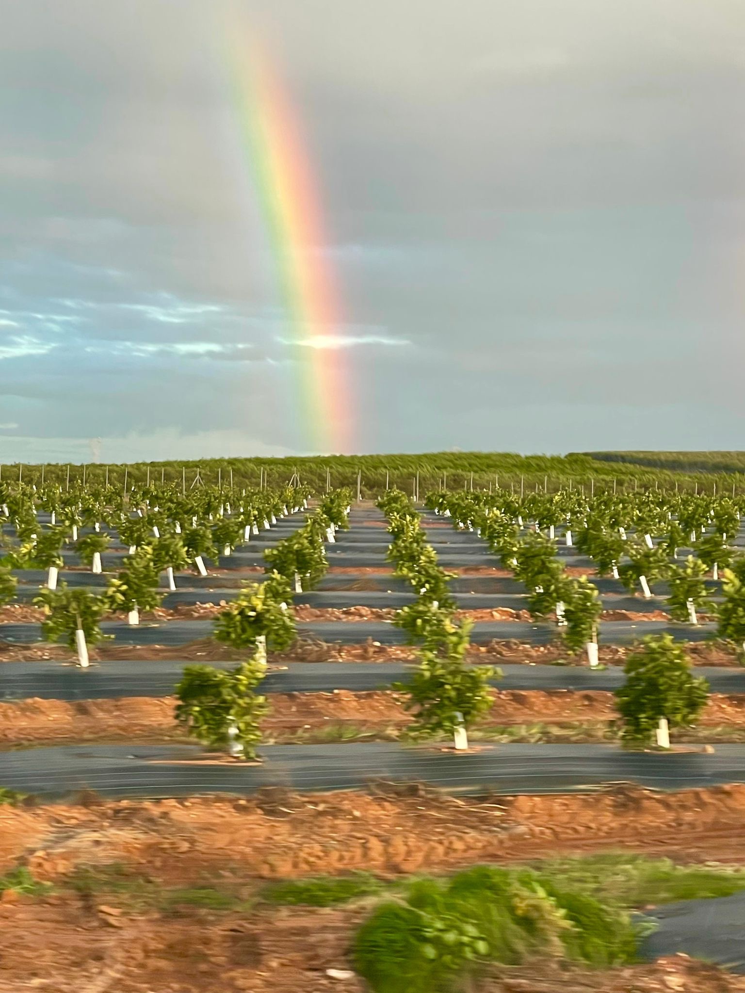 Ser feliz en y con el otro. Un trasplantado.