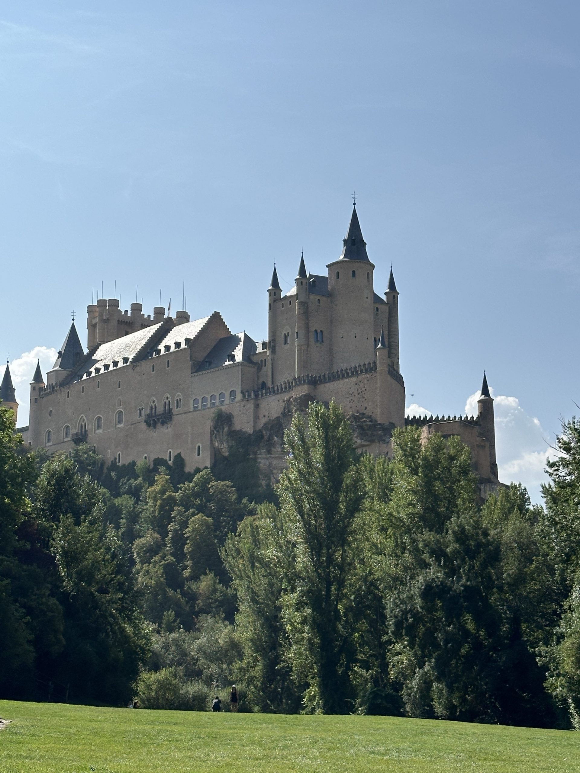 Lo sublime. Un trasplantado