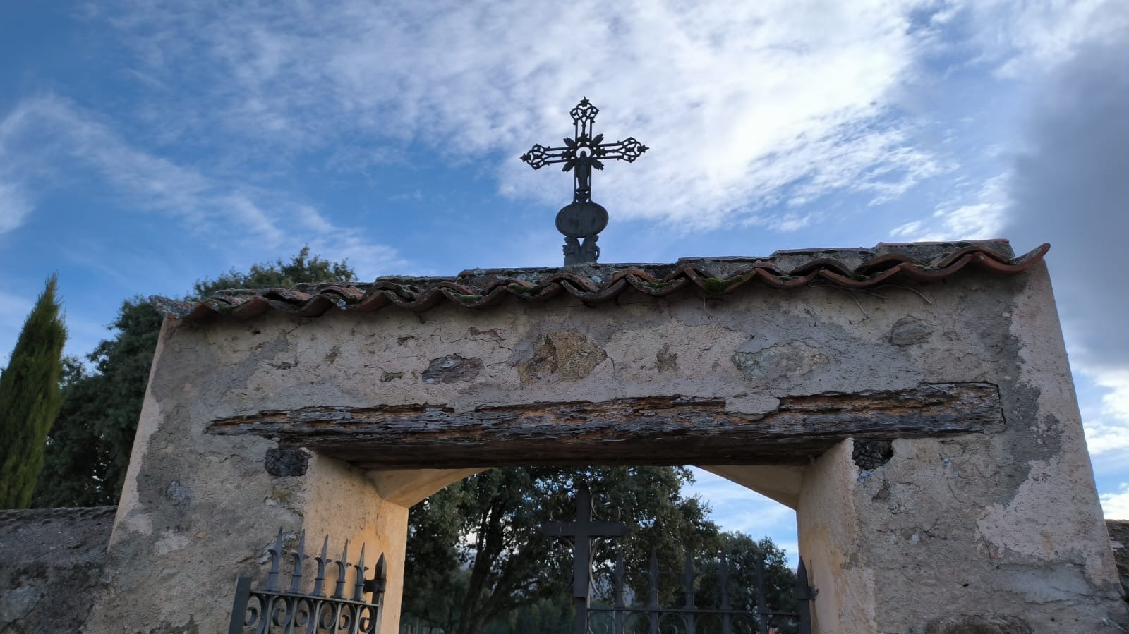 Día de difuntos. Un trasplantado.