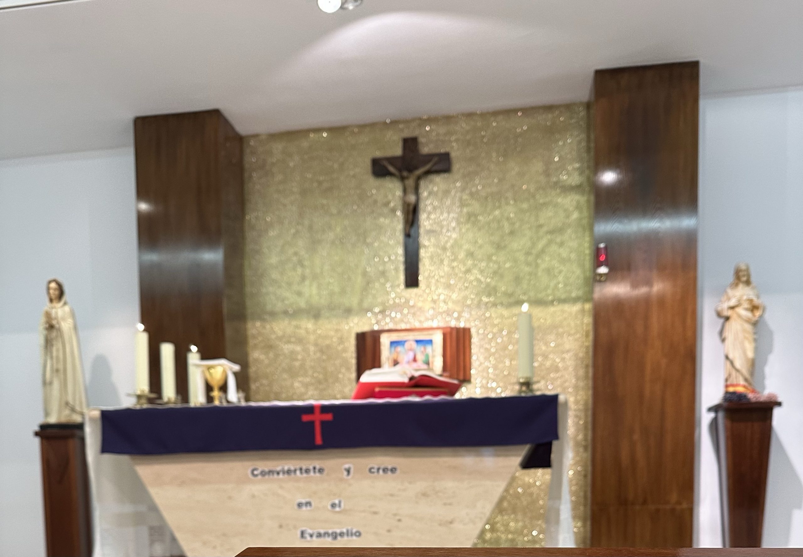 Miércoles de ceniza. Un trasplantado.