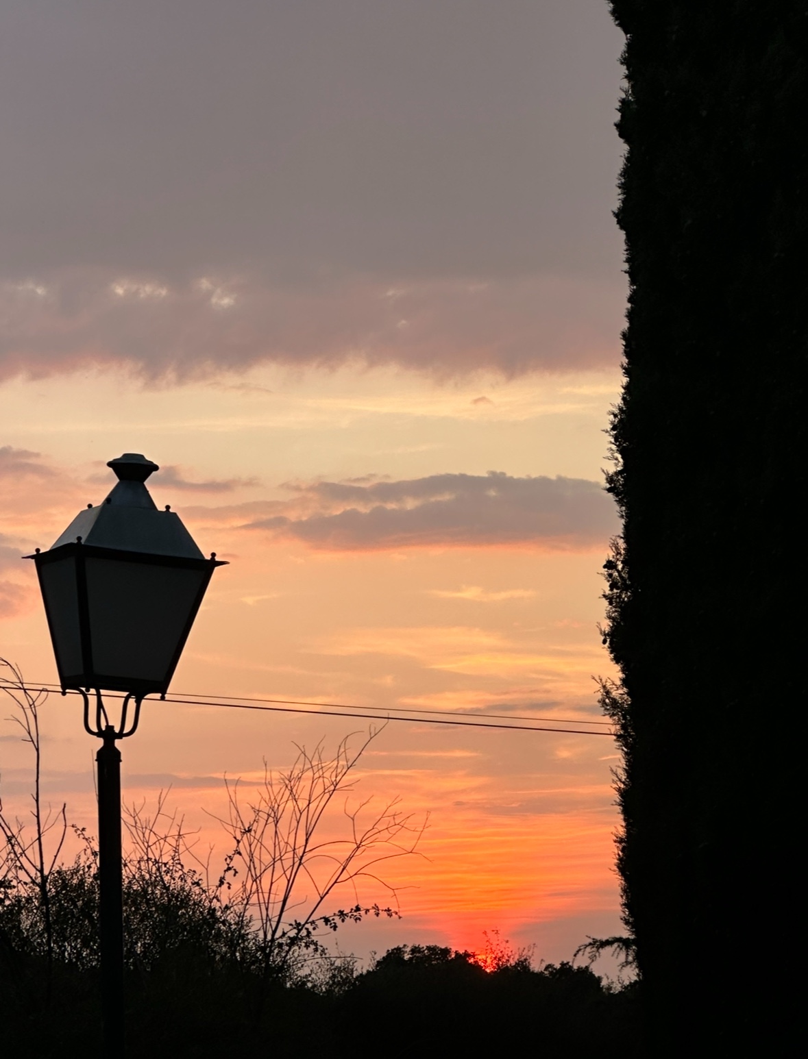 El silencio que nos reencuentra. Un trasplantado.