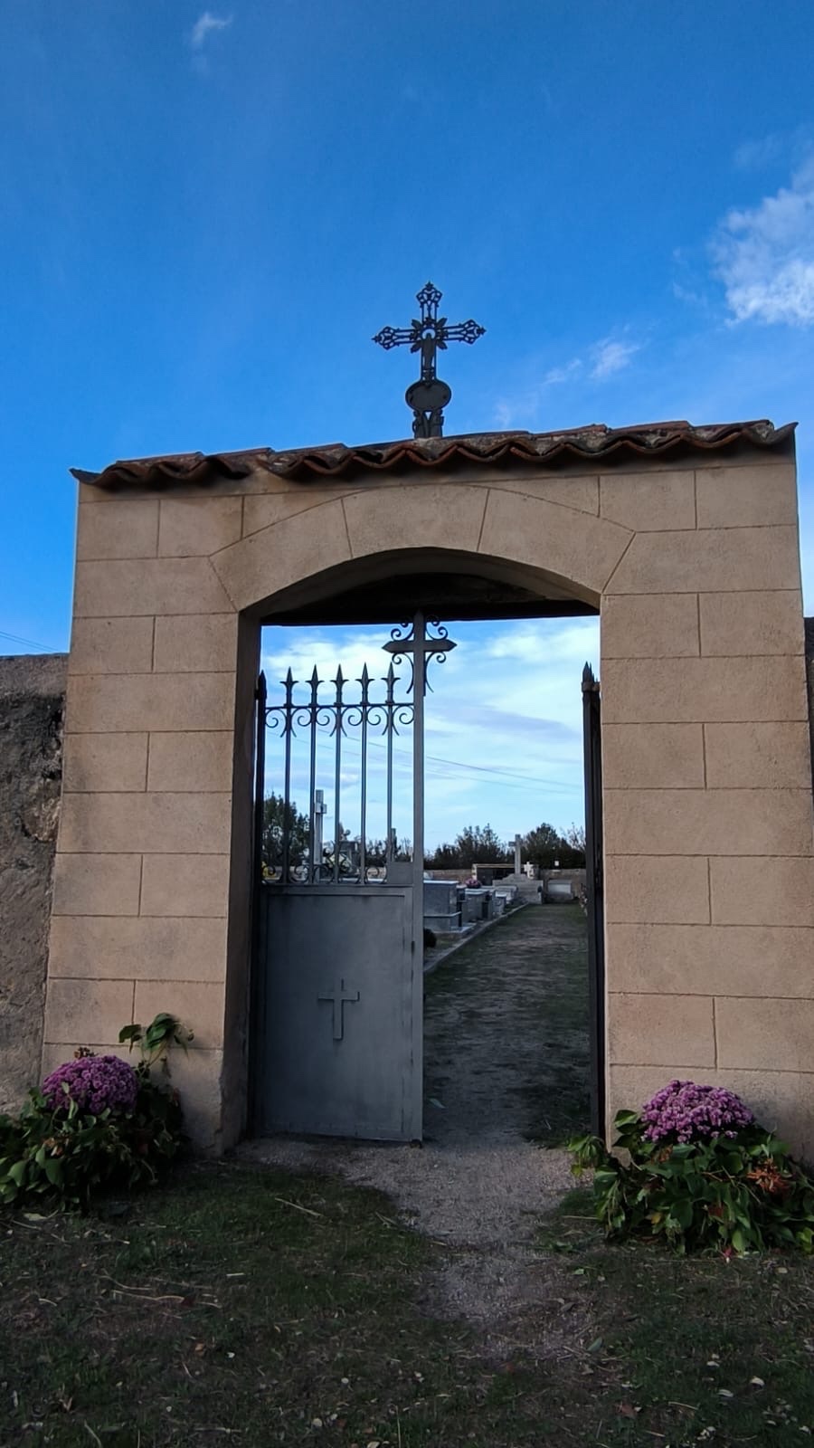 El Cielo está un poco más cerca. Un trasplantado.
