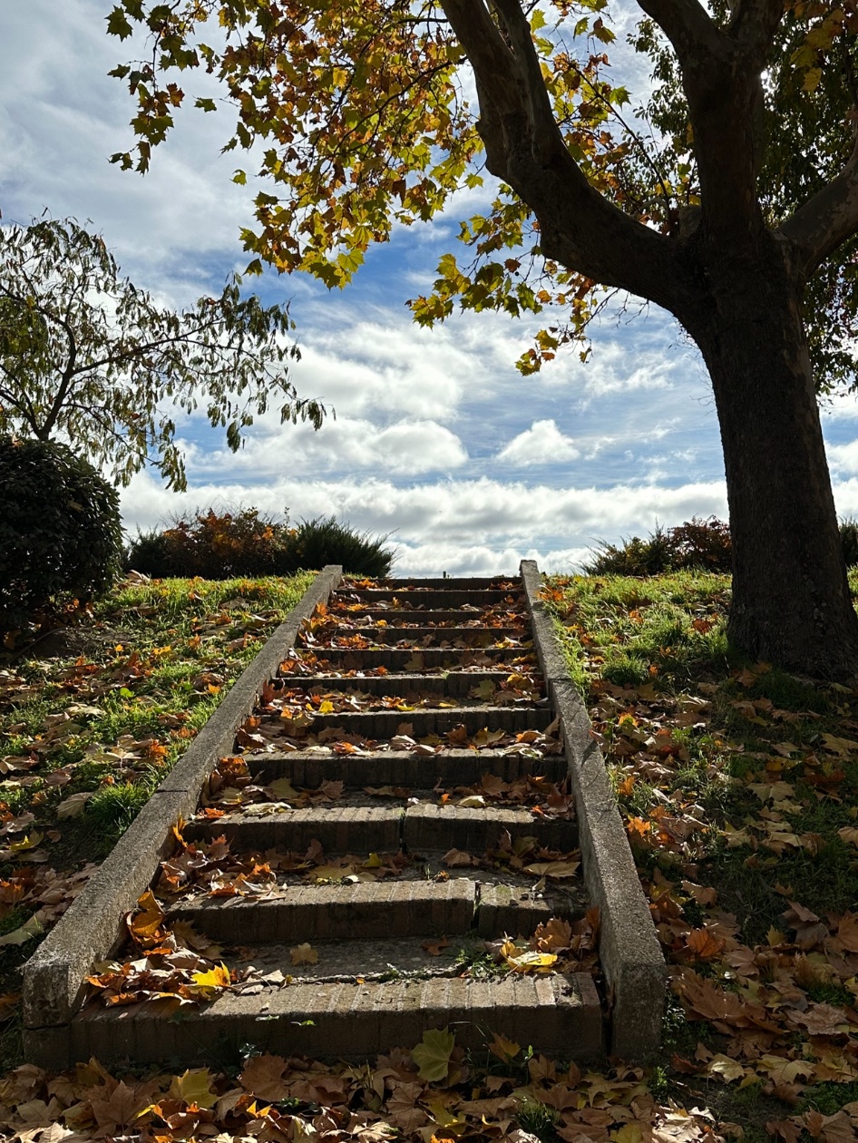 Cuídate. Un trasplantado.