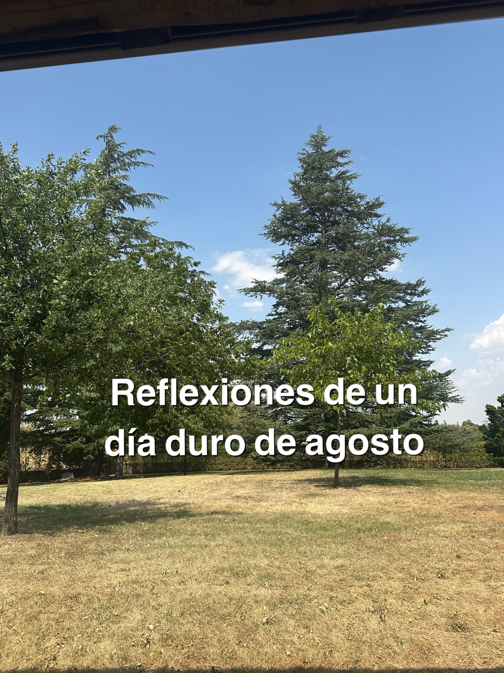 Reflexión de un día de agosto.