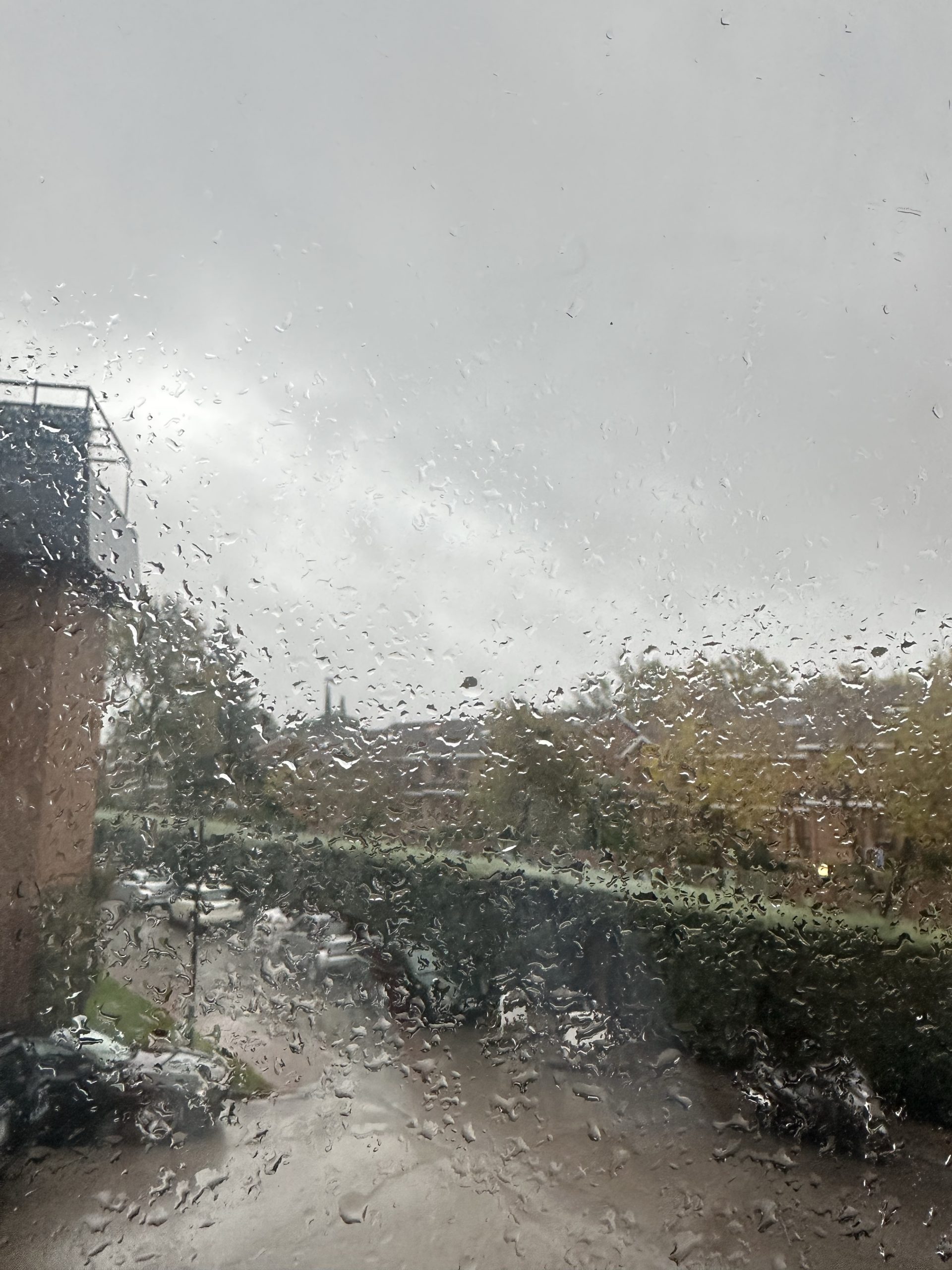 Volver al silencio. Un trasplantado