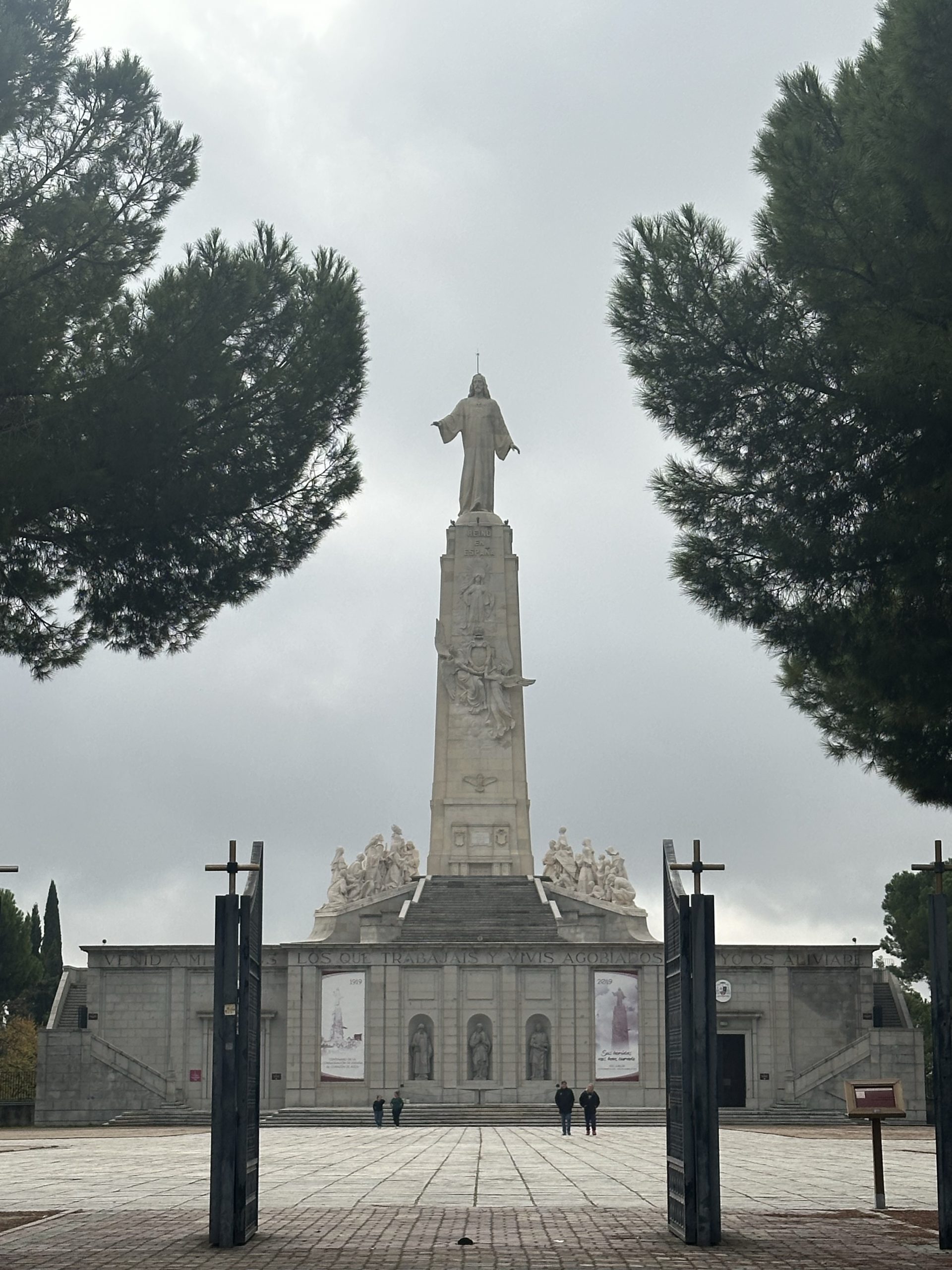 Cerro de los Ángeles. Un trasplantado.